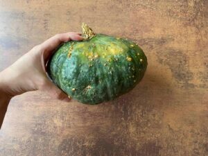 kabocha-tekvica